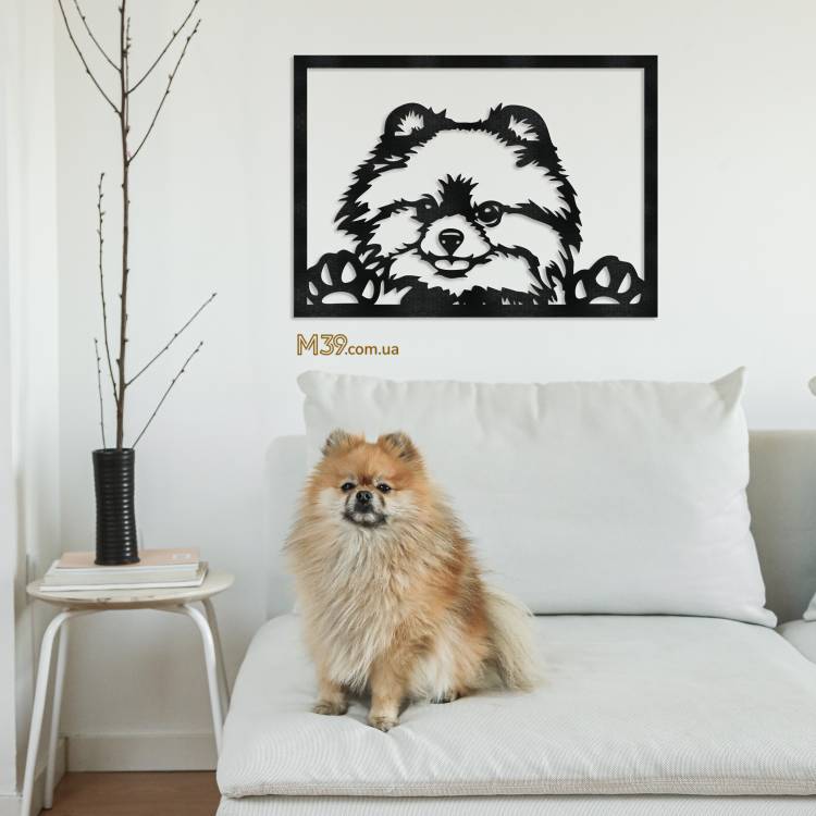 Декоративне панно картина на стіну Собачка Шпіц