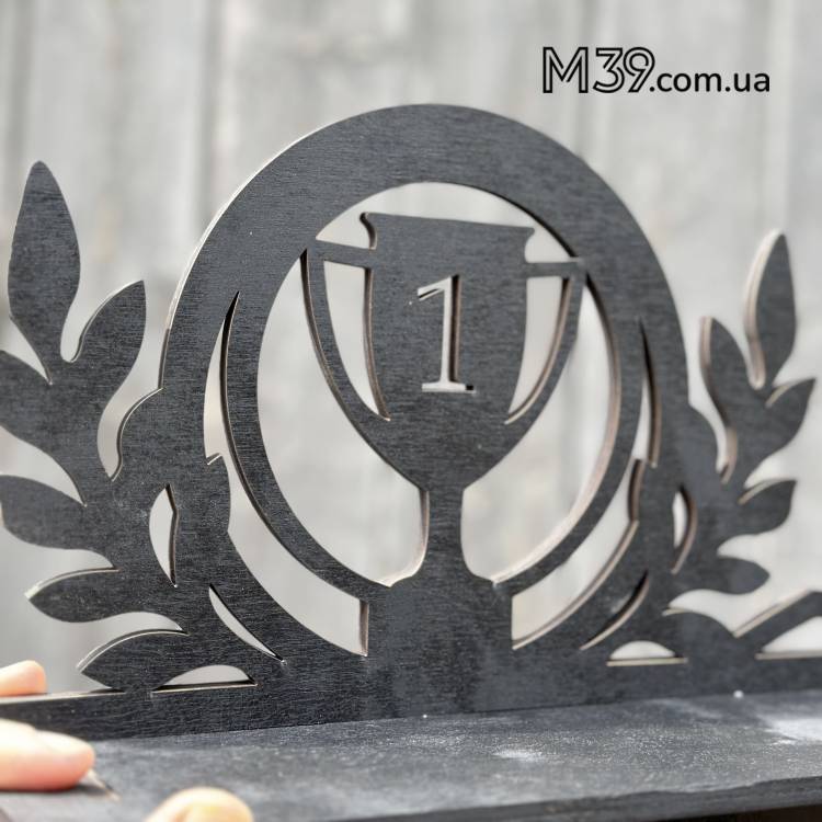 Подарунок більярдисту, Медальниця з дерева Більярд