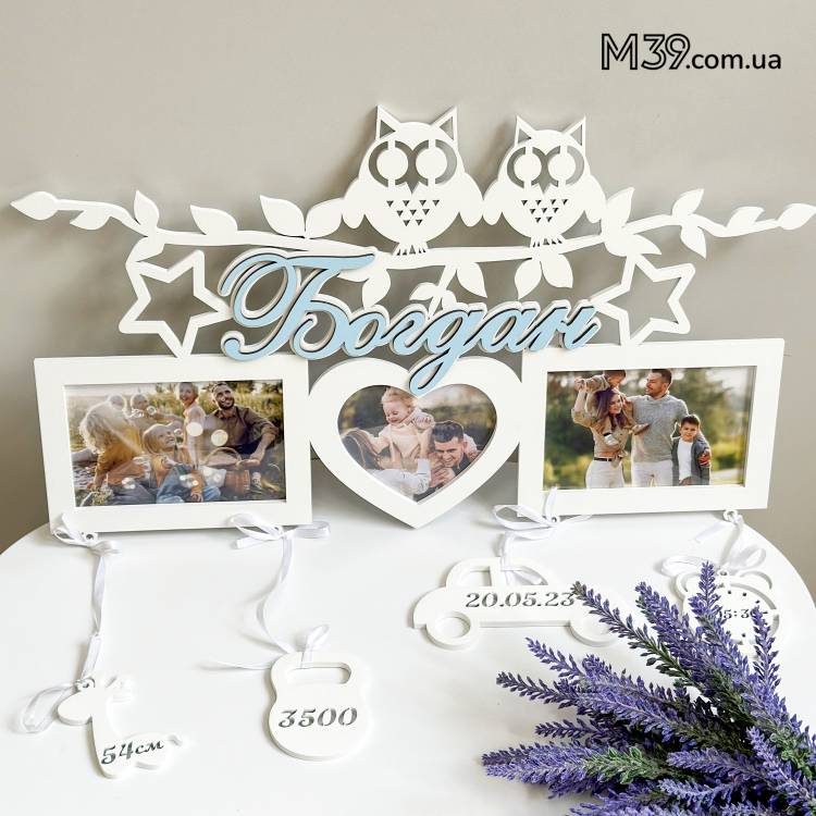 Дитяча метрика на 3 фото Совушки