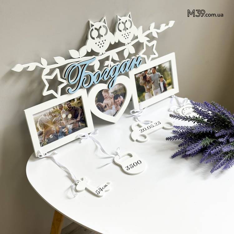 Дитяча метрика на 3 фото Совушки