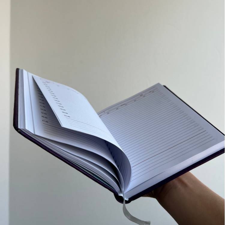 Подарок интроверта на Новый год - Дневник для записей