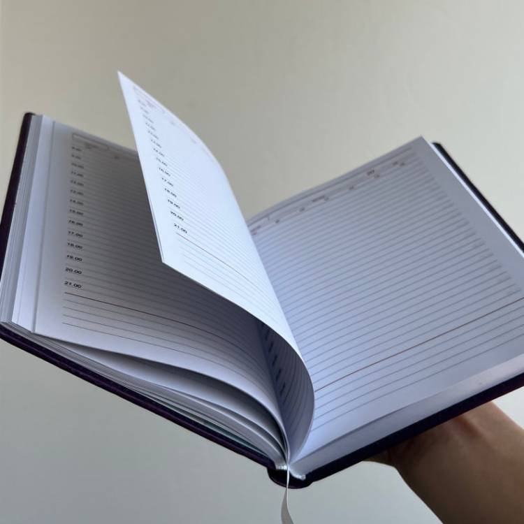 Подарок интроверта на Новый год - Дневник для записей