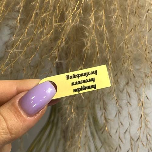  Флешка 32GB з Мотиваційним Лазерним Гравіюванням "Найкращому класному керівнику"