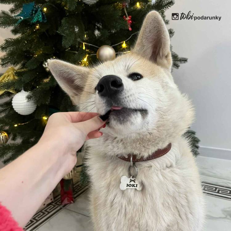 Адресник для Собак "Косточка", Нержавеющая сталь