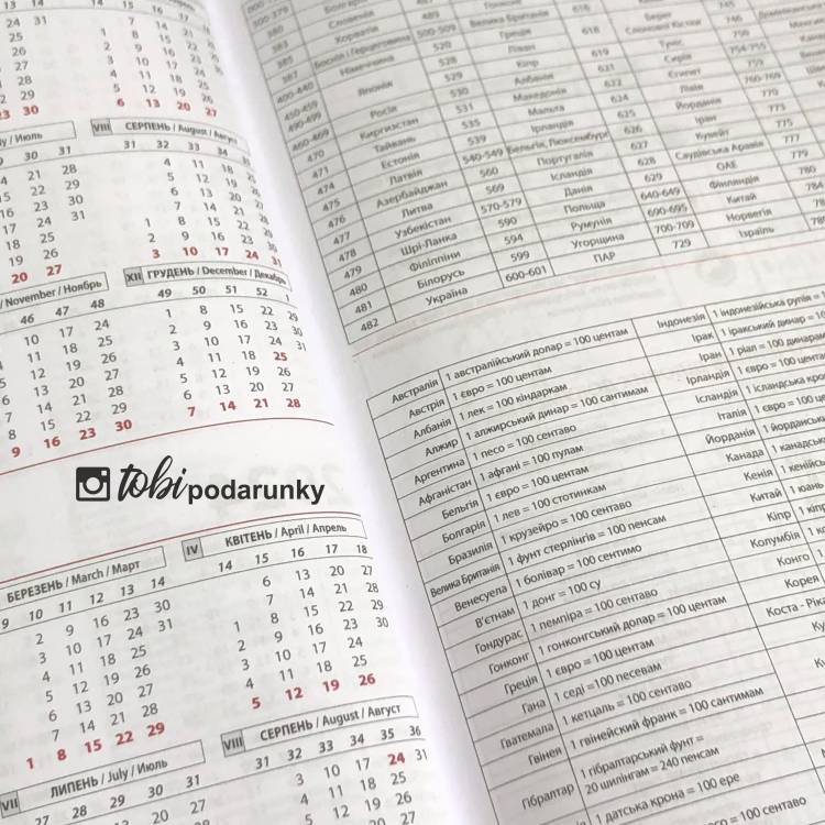 Блокнот Дневник с Гравировкой герба Украины Серый, Планер