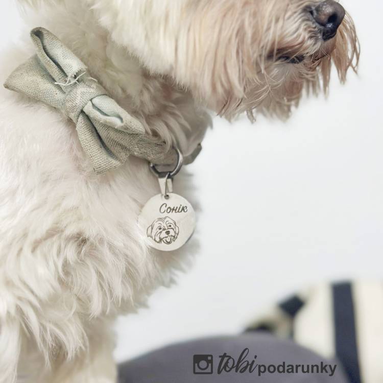 Медальйон Адресник для Собак з Індивідуальним Гравіюванням, Жетон для Собак