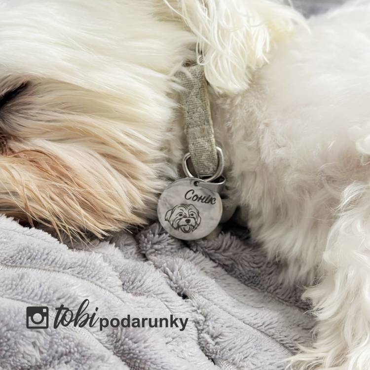 Медальйон Адресник для Собак з Індивідуальним Гравіюванням, Жетон для Собак